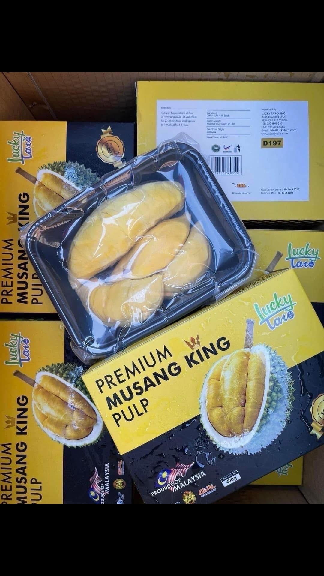 Musang King